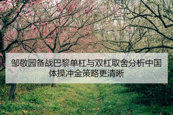 邹敬园备战巴黎单杠与双杠取舍分析中国体操冲金策略更清晰